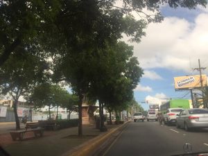 Calle SD arborizada